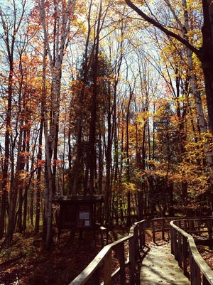 Temperature, light and water supply affect how long we are able to enjoy fall colors.