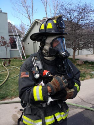 A cat was rescued Thursday afternoon from a house fire in southeast Fort Collins.
