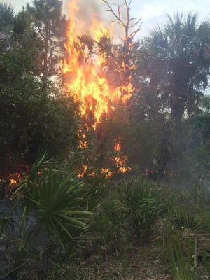The Florida Forest Service recommends hunters take safety precautions to help avoid sparking a brush fire.