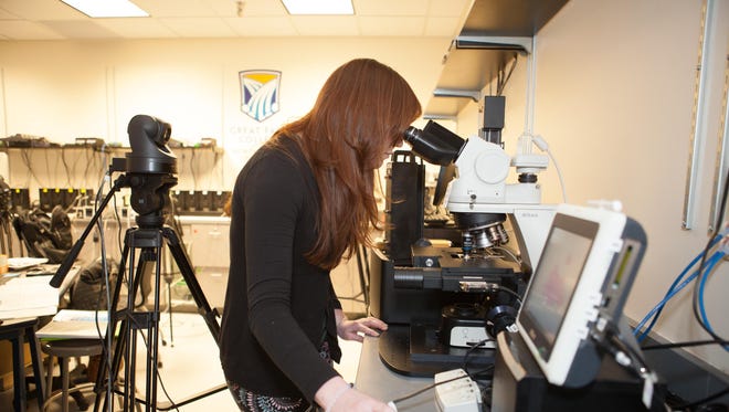 Lab technician Clara Davison looks through a microscope in the NANSLO Lab at Great Falls College MSU.