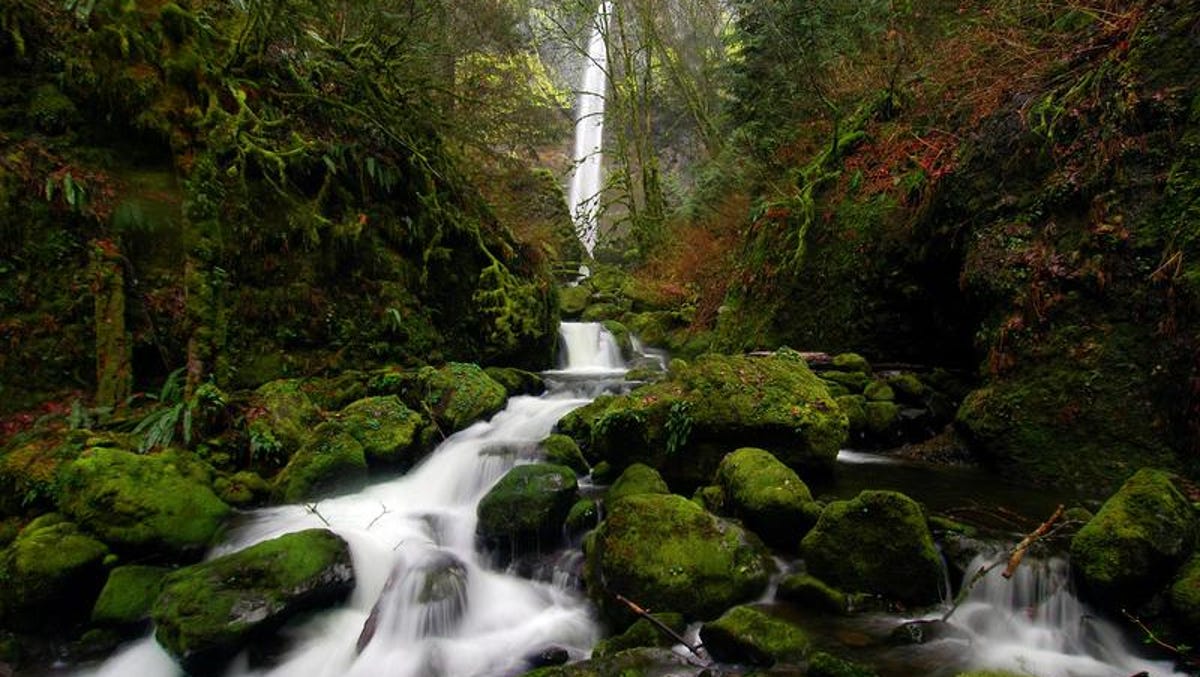 Best 13 Hikes Of Columbia River Gorge With Eagle Creek Fire