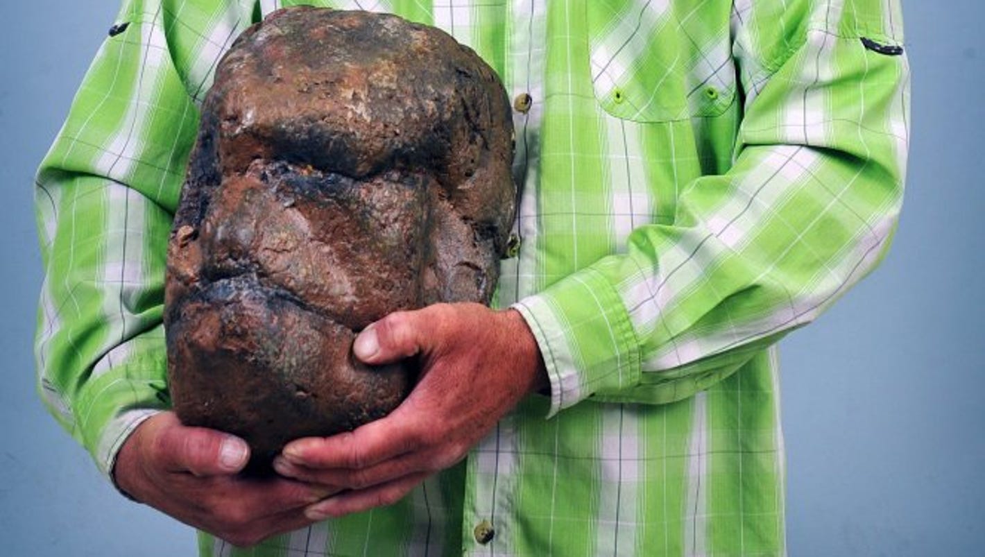 Man claims to have found bigfoot skull