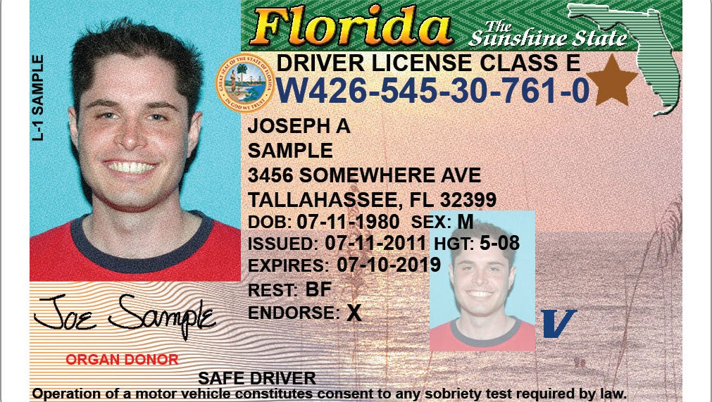 license suspension florida check