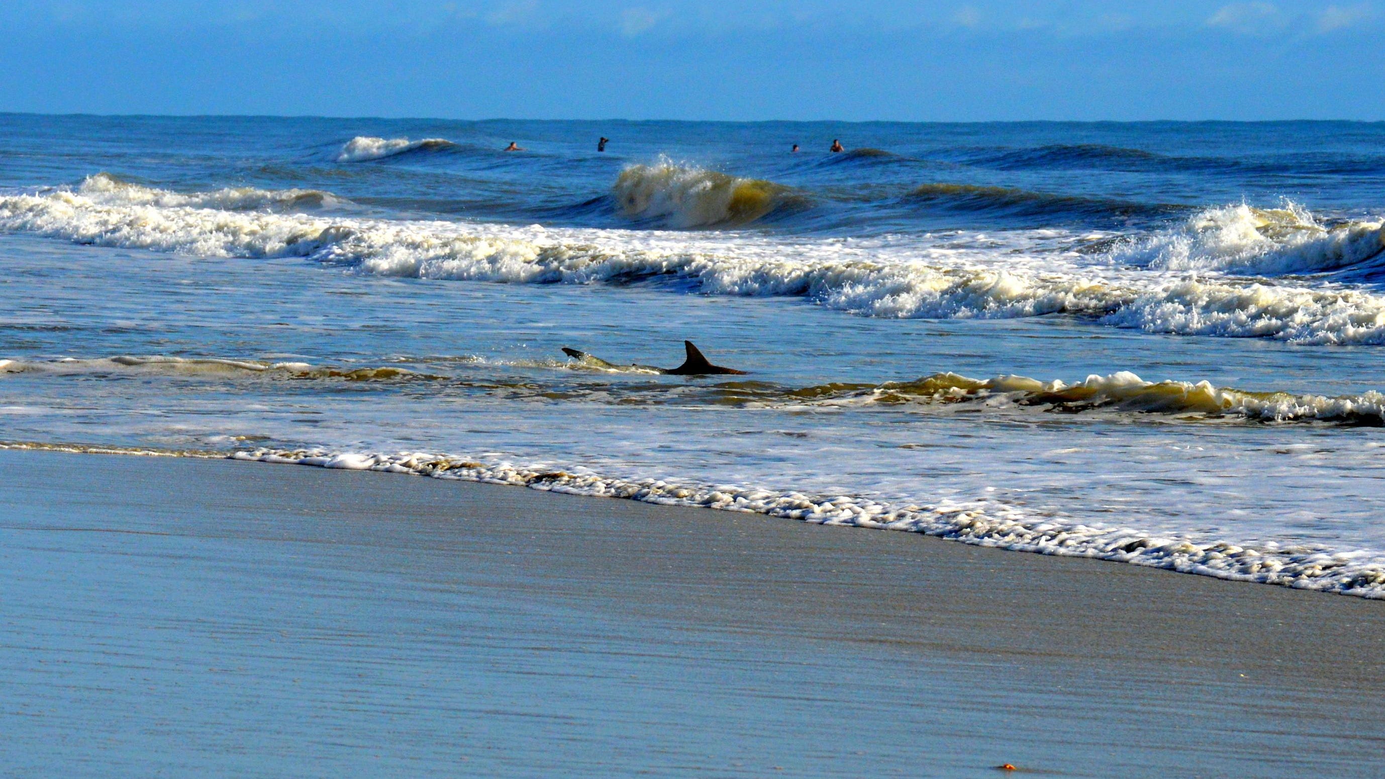 Volusia County Marks First Shark Bite Of Year In New Smyrna Beach
