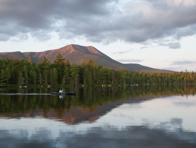 Top trees at national and state parks