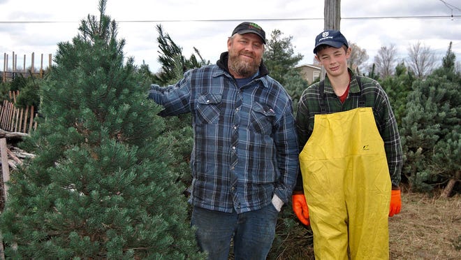 Paul Prince, a third-generation tree farmer, and his son, Caleb, work year-round in preparation for the families that have made Christmas tree shopping a tradition.