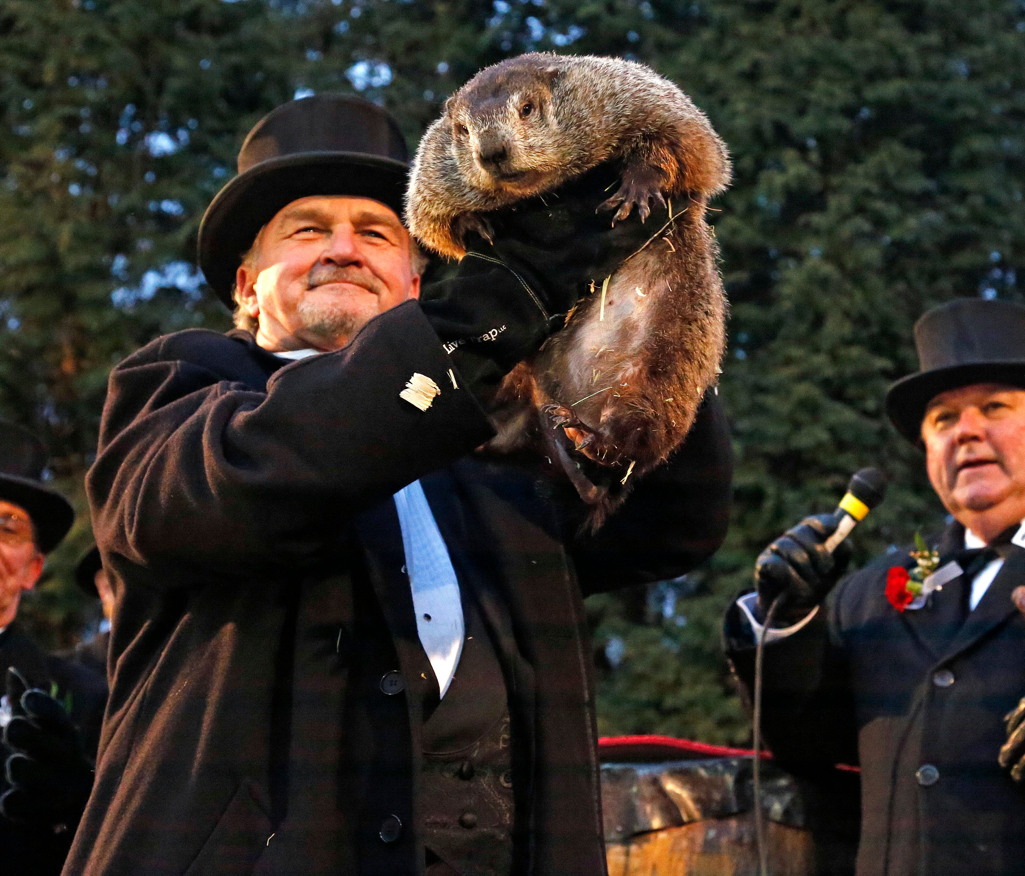 Groundhog Club handler John Griffiths, center, holds Punxsutawney Phil, the weather prognosticating groundhog, during the 131st celebration of Groundhog Day on Gobbler's Knob.