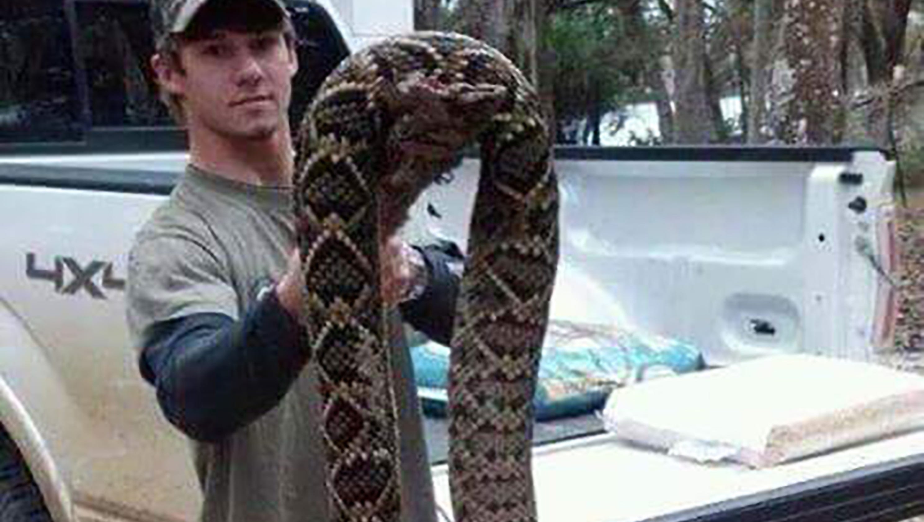 Biggest Rattlesnake Ever Killed In Mississippi