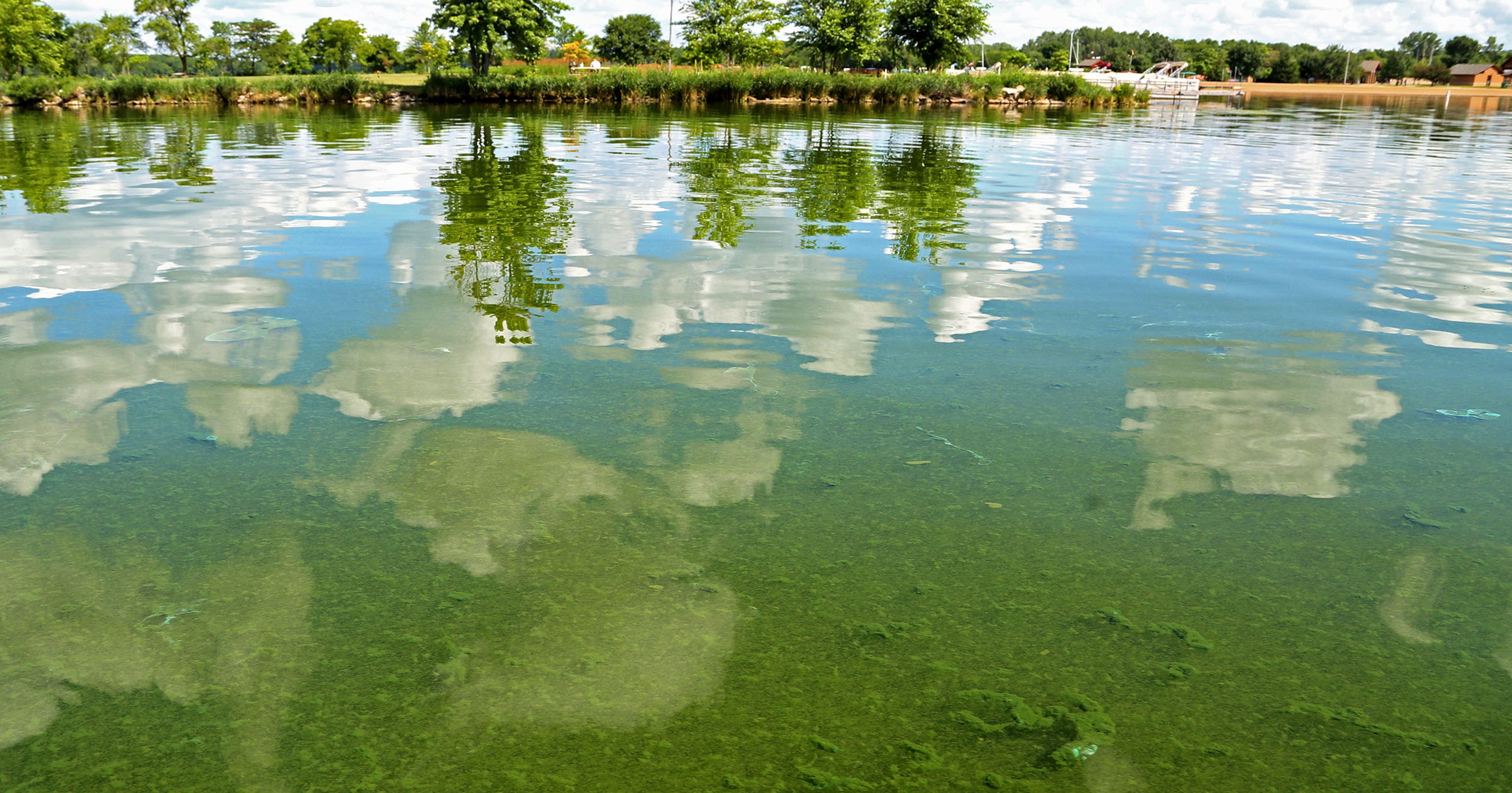 Environmentalists Bluegreen algae will threaten more Iowa drinking water
