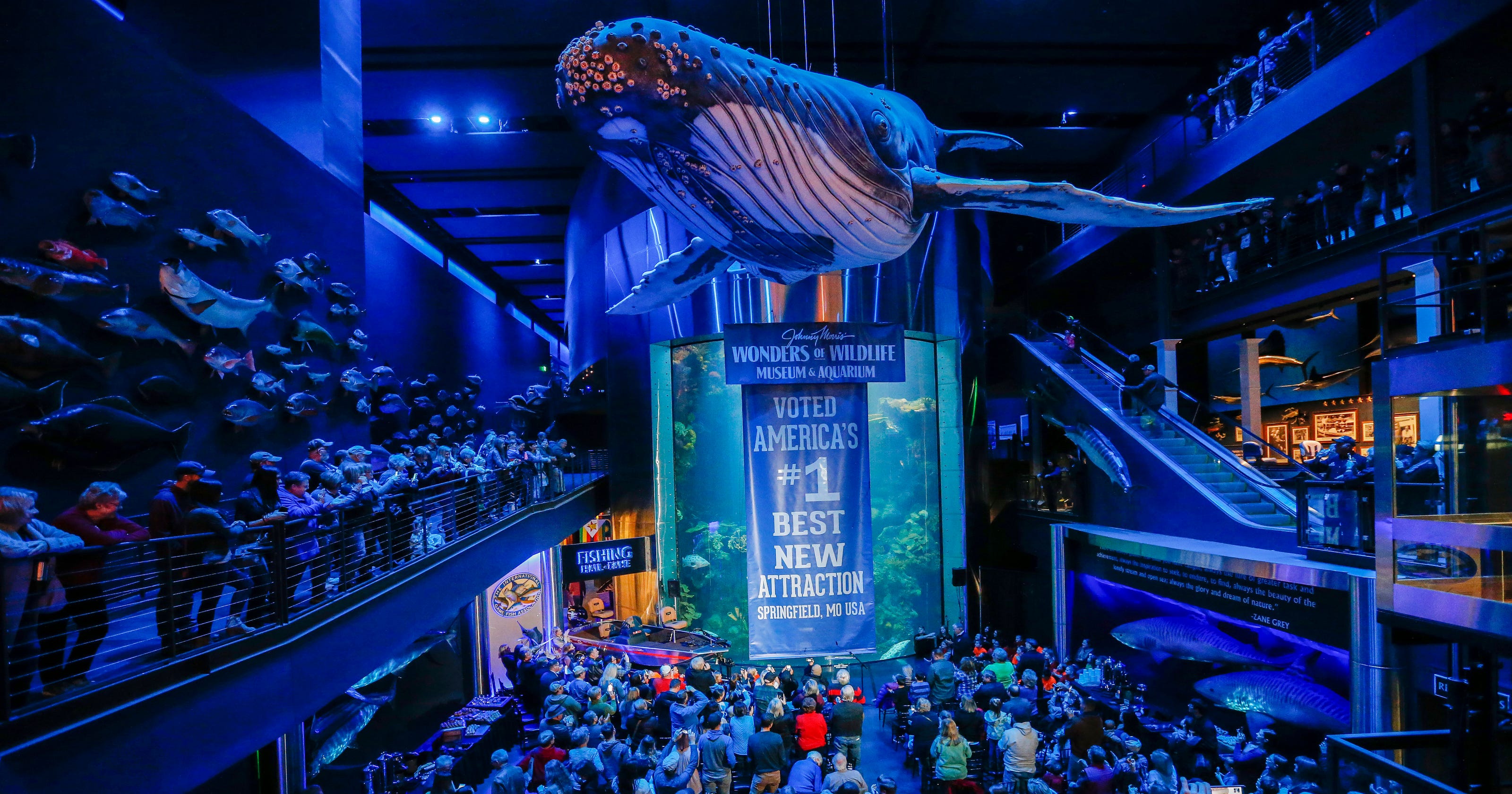 Wonders of Wildlife competes for 'best aquarium' in USA TODAY poll - 636507562557089421 Wow1