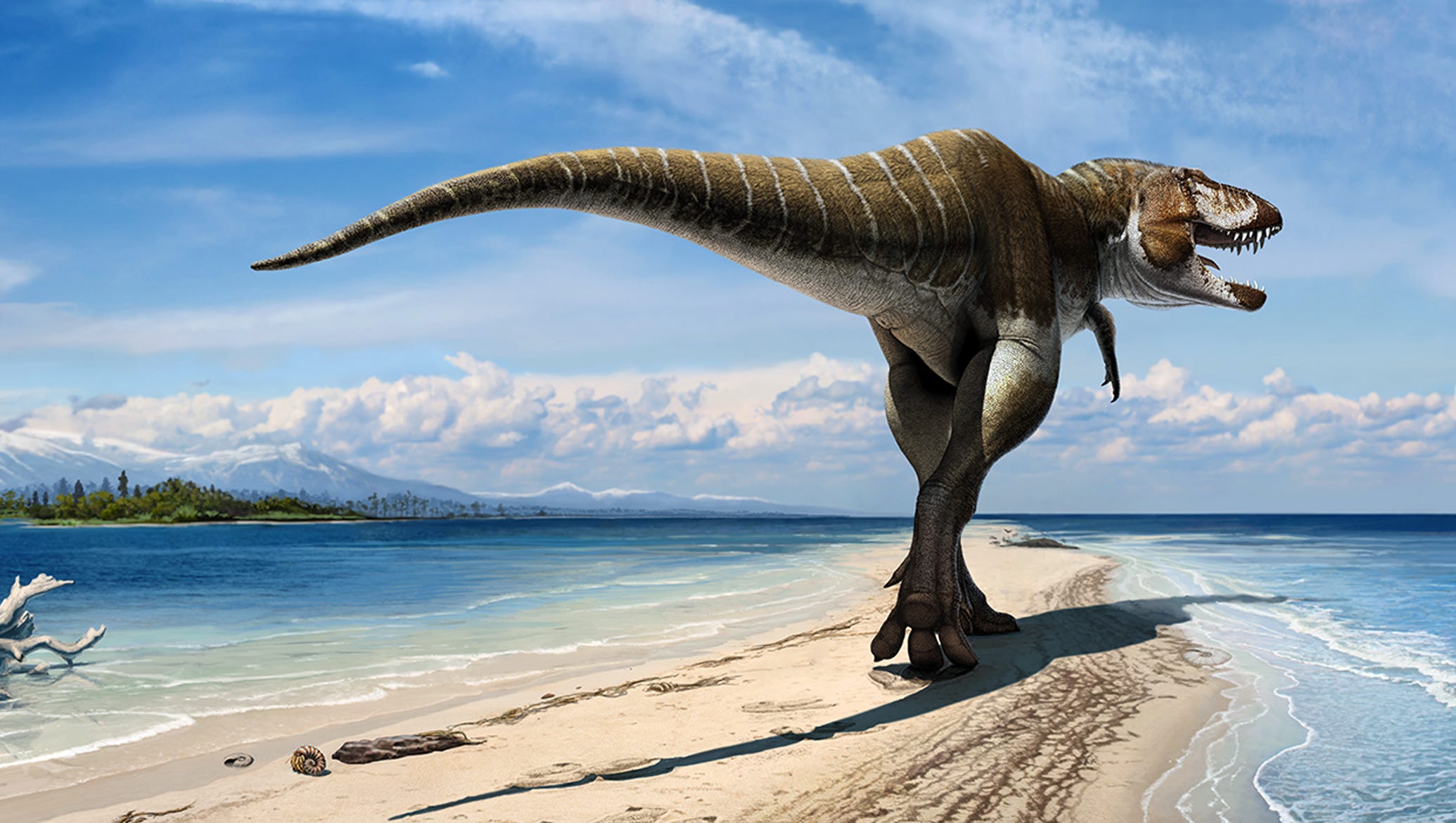 walking with dinosaurs velociraptor walking with dinosaurs velociraptor