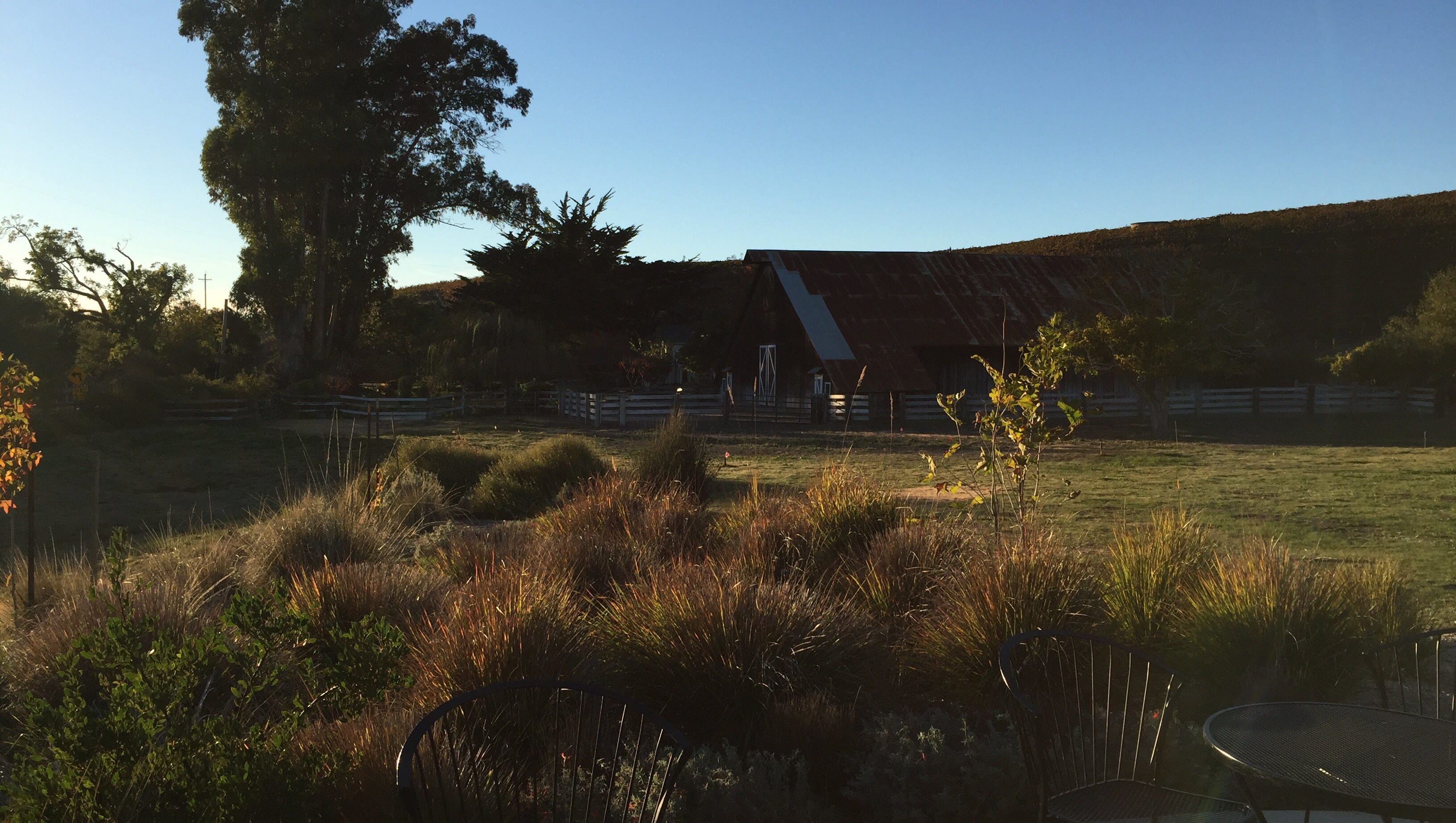 Biking Through Wine Country In Cambria California