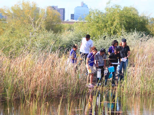 Kids participate in "pond dipping" testing water quality exercise at the Nina Mason Pulliam Rio Salado Audubon Center in Phoenix on Wednesday, April 11, 2012.