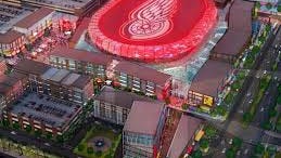 Seedlings is auctioning off three sets of Red Wings hockey tickets for games taking place during the inaugural season in the new Little Caesars Arena. To bid, go to www.BiddingForGood.com/braillebooks