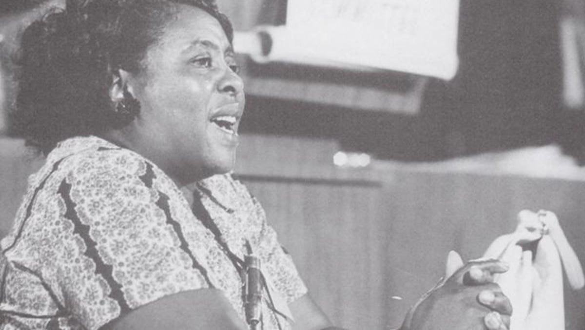 Fannie Lou Hamer Champion Of Voting Rights View