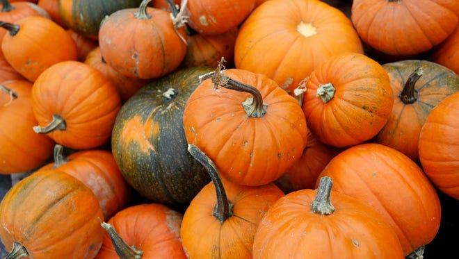 The Tippecanoe Mall will host a fall festival this Friday night with entertainment, giveaways and activities like pumpkin painting.
