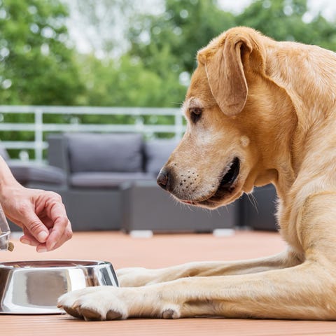 The FDA is continuing to investigate a potential...