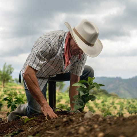 Protecting farm workers &nbsp; &nbsp; The Migrant...