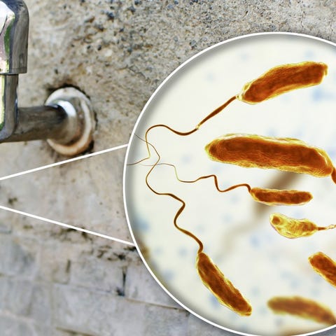 Cholera &nbsp; &nbsp; &bull; Estimated deaths befo