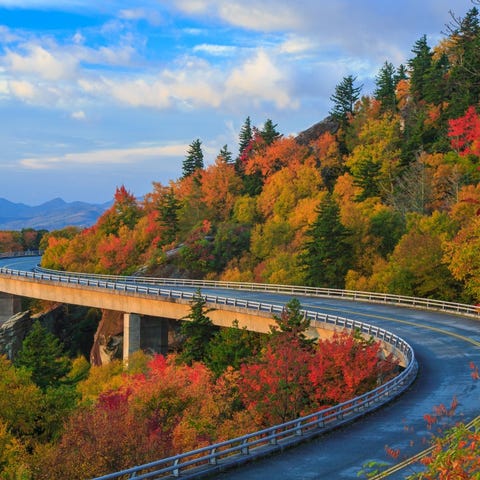 North Carolina: Blue Ridge Parkway     • Visitors 