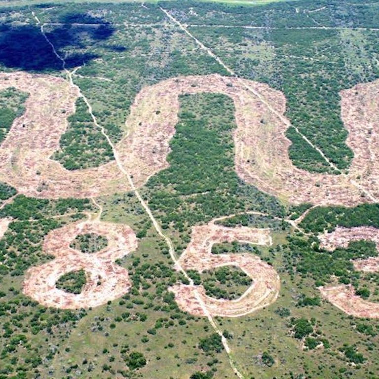 10. King Ranch Heirs     • Land area owned:  911,215 acres