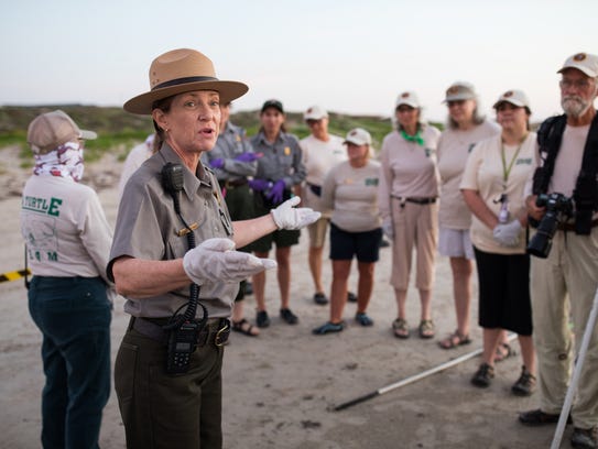 Donna Shaver, chief of the Division of Sea Turtle Science