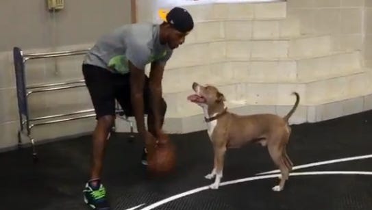 Paul George plays a little 1-on-1 with his dog, King.