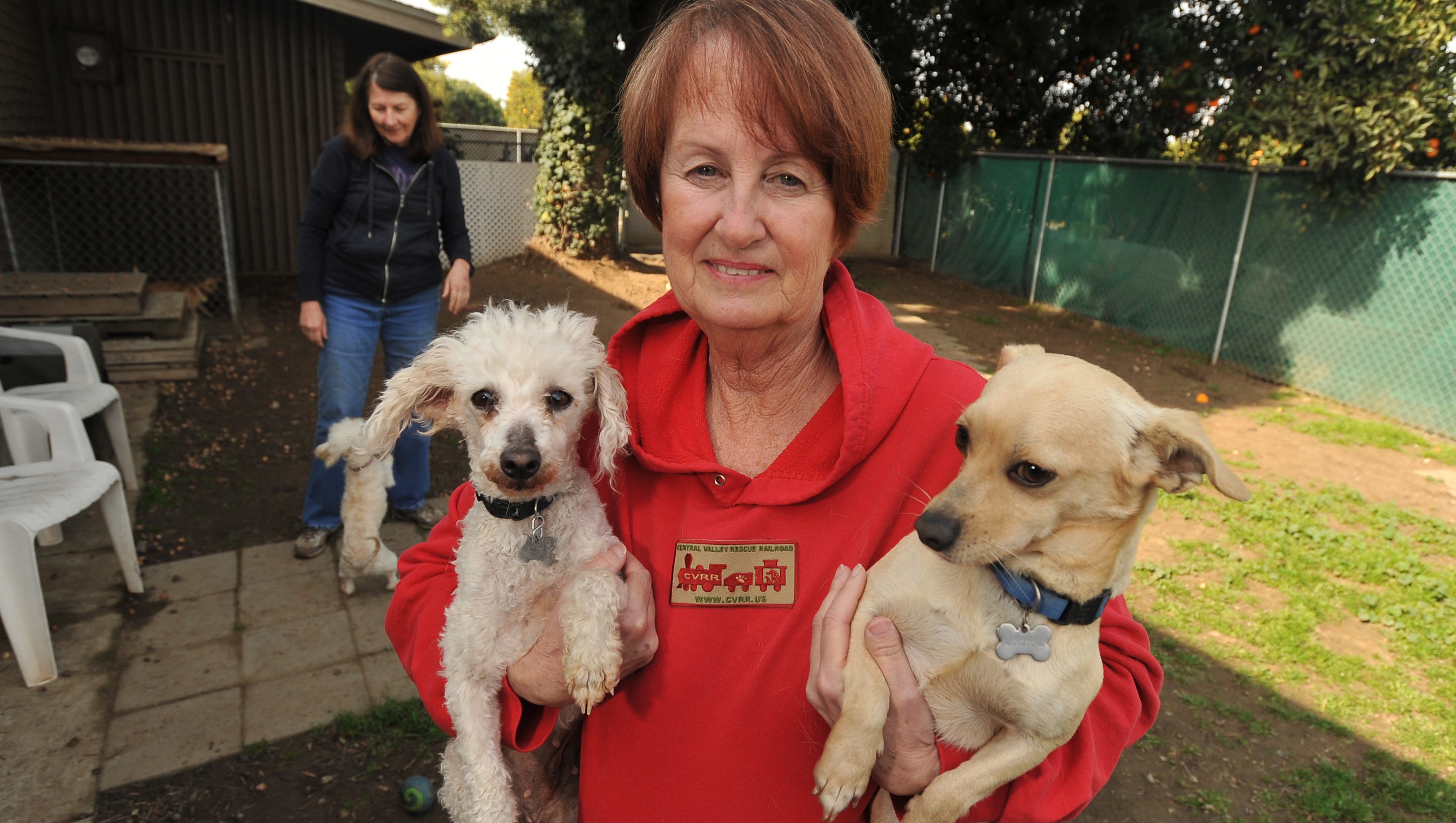 Lindsay Woman Runs No Kill Shelter On Her Property
