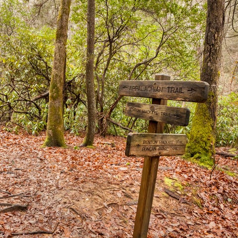 The Appalachian Trail in  Georgia.