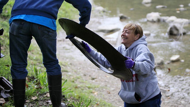 Rebecca Brand Lopez works to pick up trash along the banks of the White River during the 2014 White River Cleanup, handing up the base for a traffic marker to another participant.