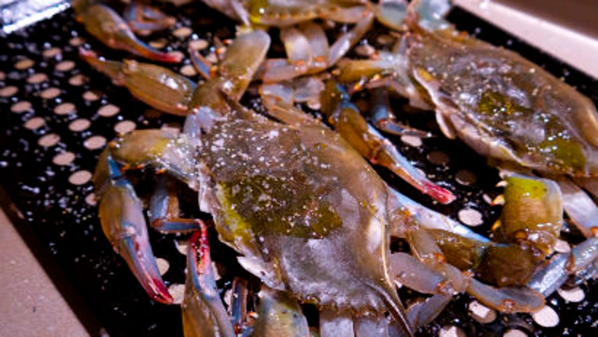 Seasonal Chef Grilled Soft Shell Crabs With An Easy Spicy Slaw