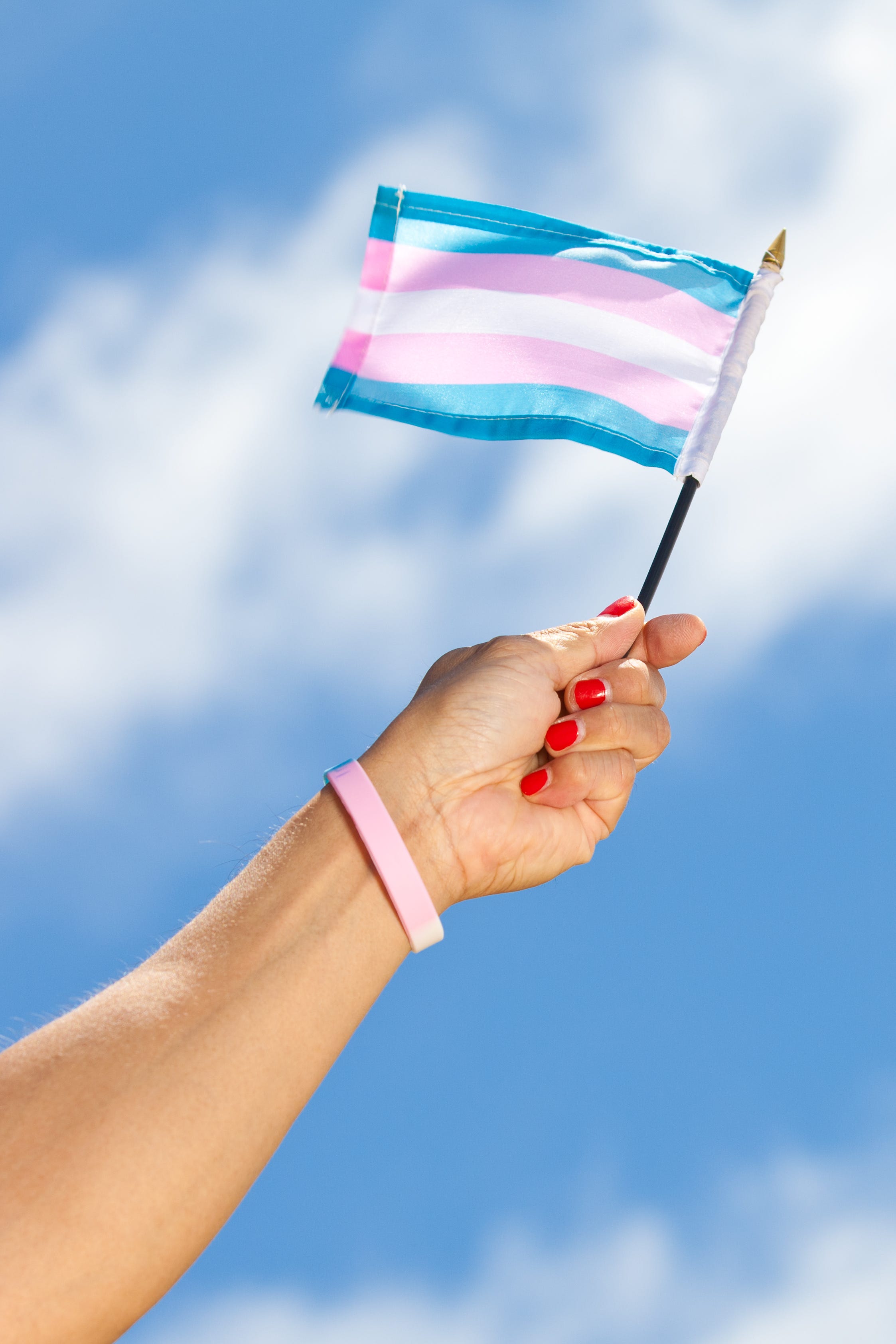 Transgender Pride Flag Will Fly Across Michigan Friday