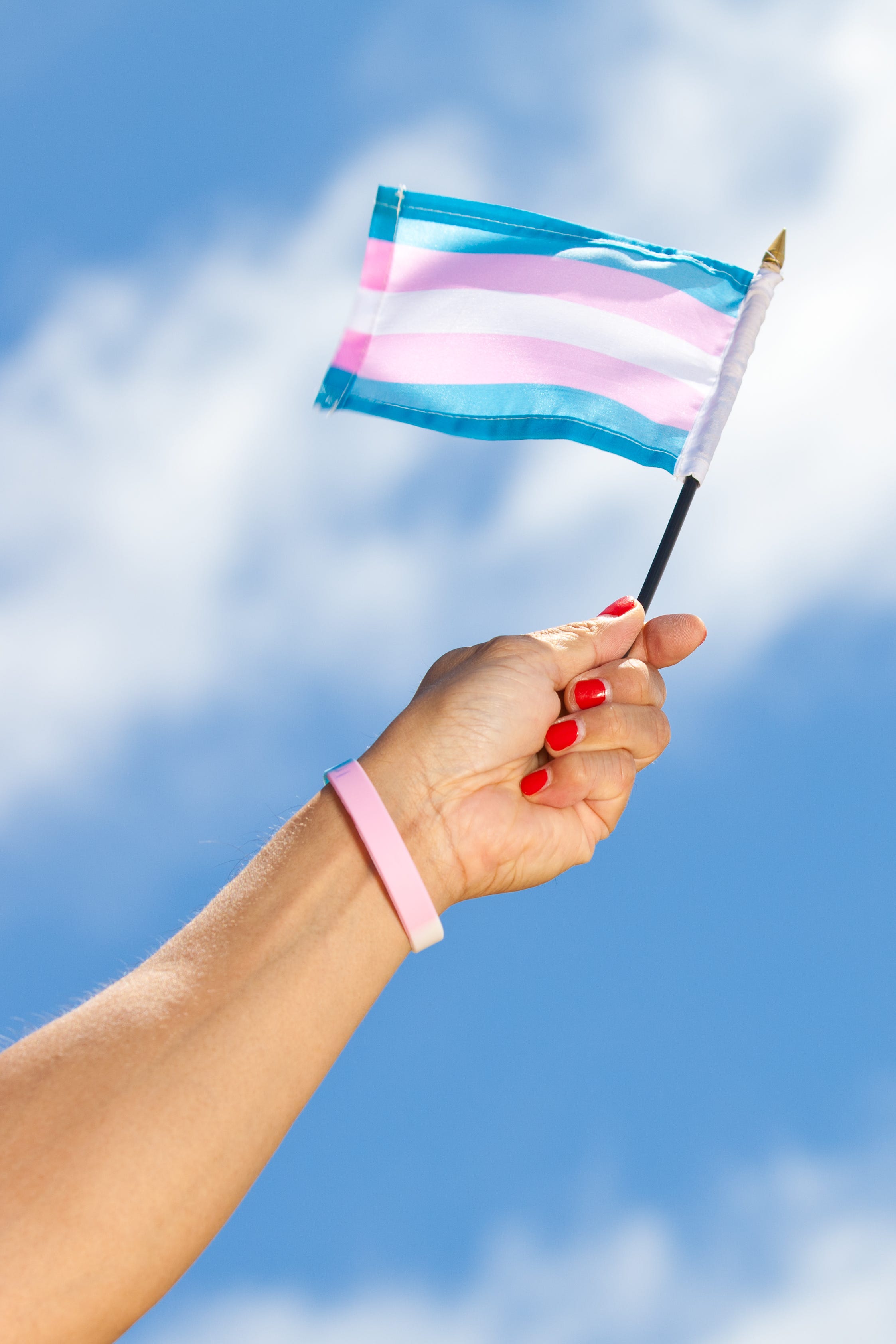 Transgender Pride Flag Will Fly Across Michigan Friday 