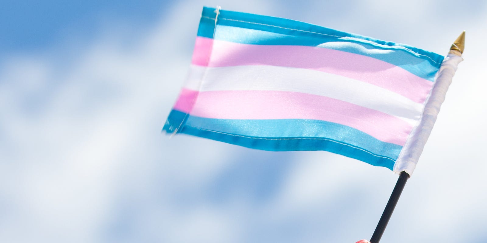 Transgender people can easily change gender on Mich. driver's license