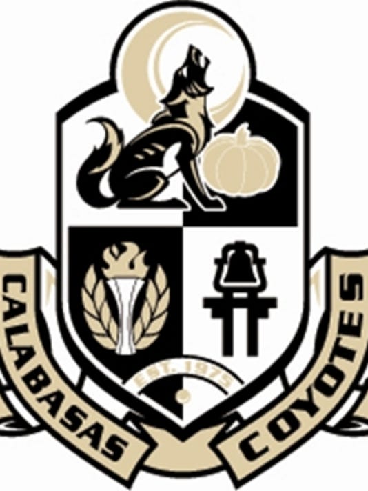 Calabasas comes up short in Division 2 semifinals