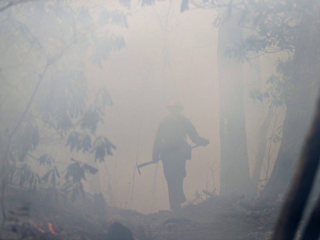 California firefighter Zane Roberts walks through heavy smoke while working to hold the northern head of a wildfire on the Appalachian Trail at Deep Gap, north of Tate City, Ga., and the North Carolina border. Firefighters have made progress in battl