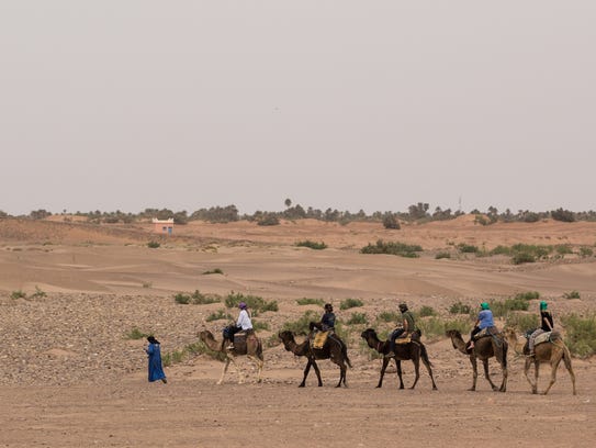 Many former nomads have found work in tourism as camel