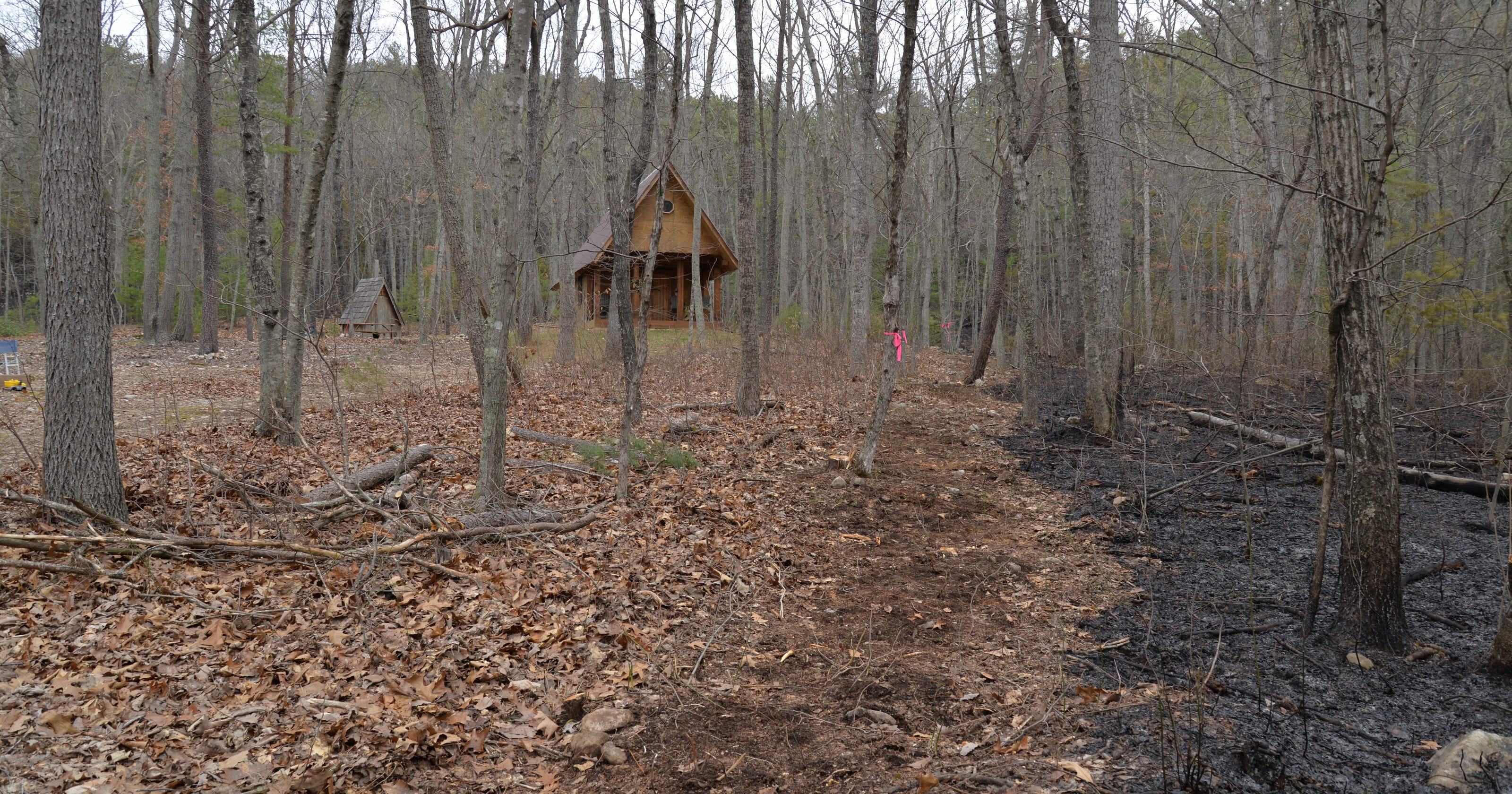 Prescribed burn set for national forest