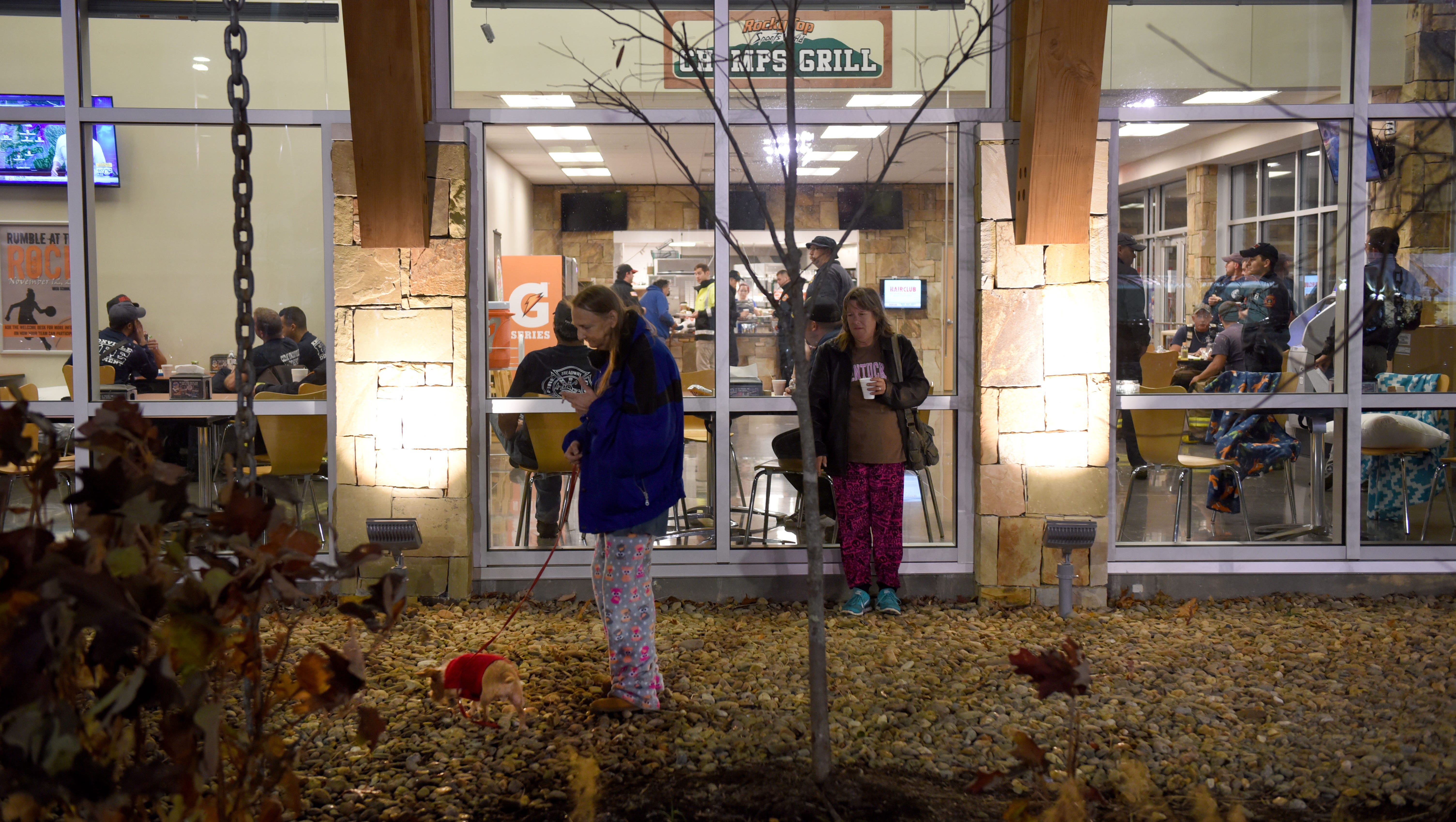 Gatlinburg, Pigeon fires How to help