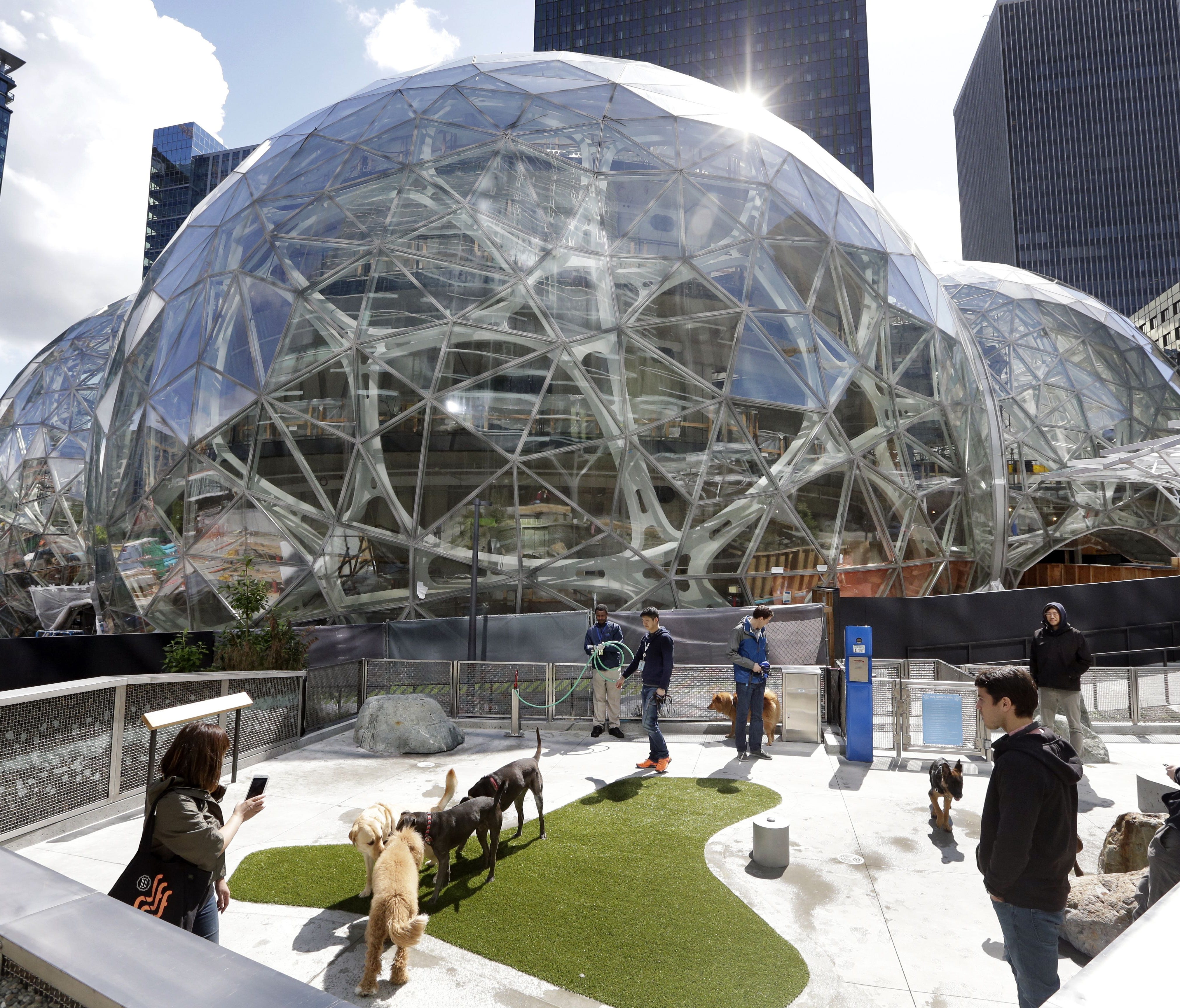 Amazon employees tend to their dogs in a canine play area adjacent to where construction continues on three large, glass-covered domes as part of an expansion of the Amazon.com campus, Thursday, April 27, 2017, in downtown Seattle.