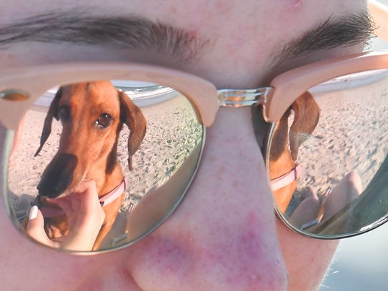 Poob the dachshund is reflected in Tabitha Headlee’s sunglasses at Canova Beach Park near Indian Harbor Beach.