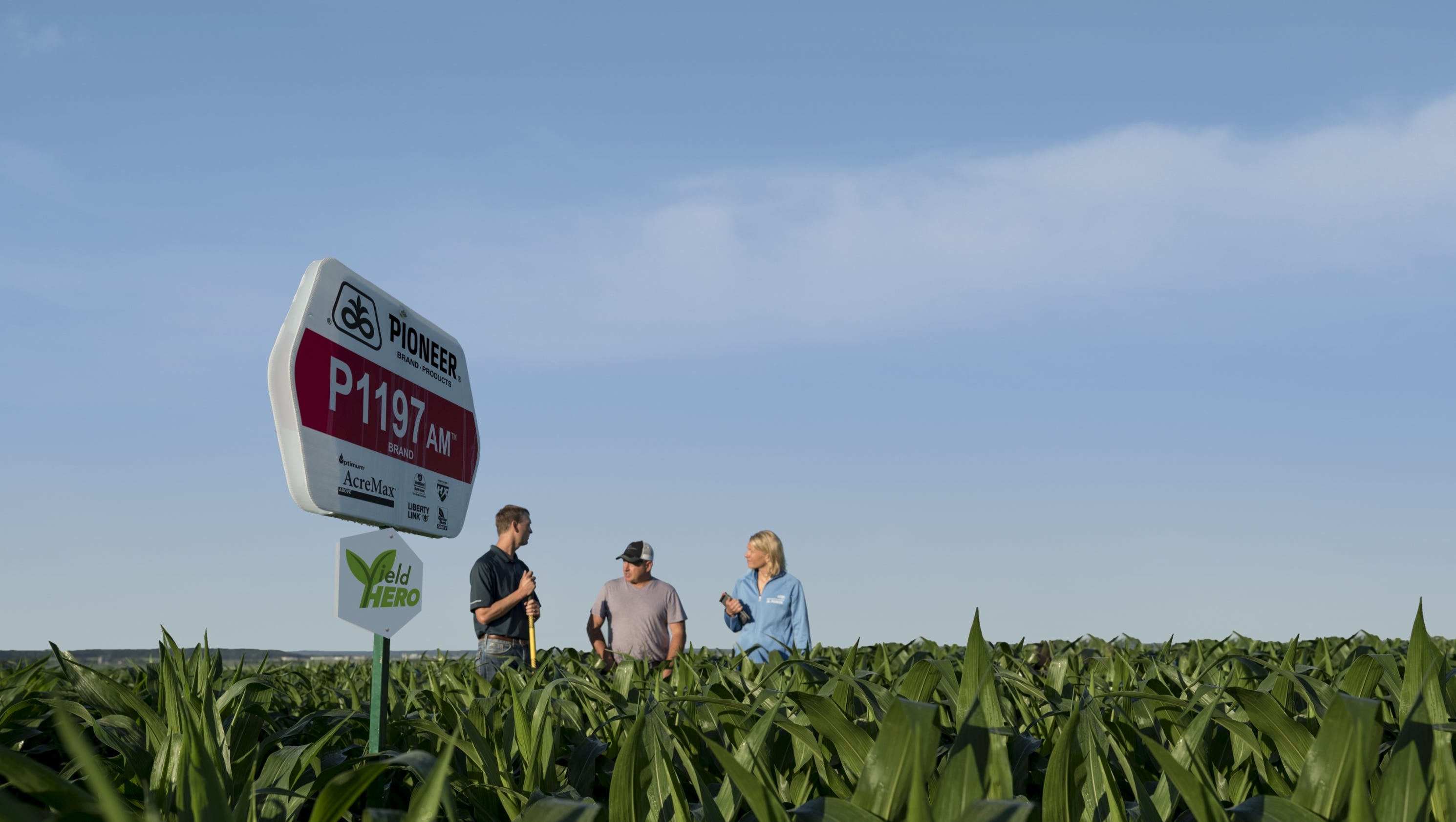dentrodabiblia dupont pioneer