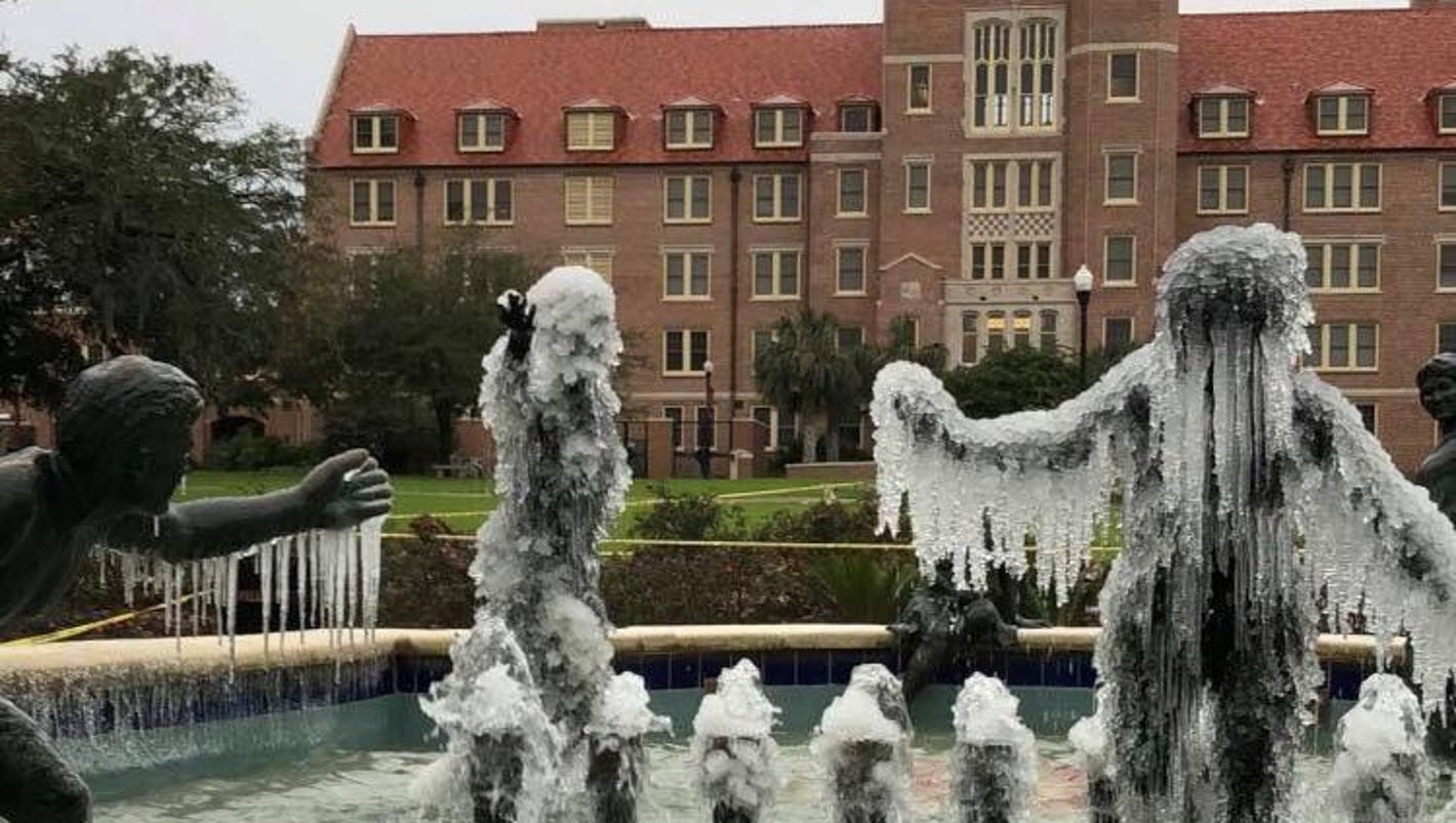 Tallahassee's first snow day in nearly 30 years