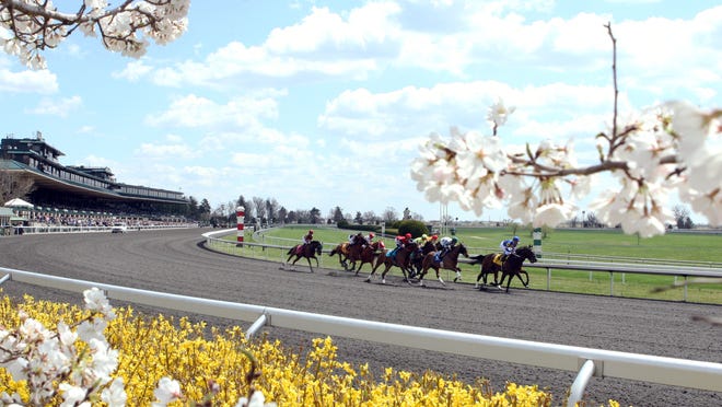 Keeneland, here in April 2014, has installed a dirt track in time to host the Breeders’ Cup later this year.