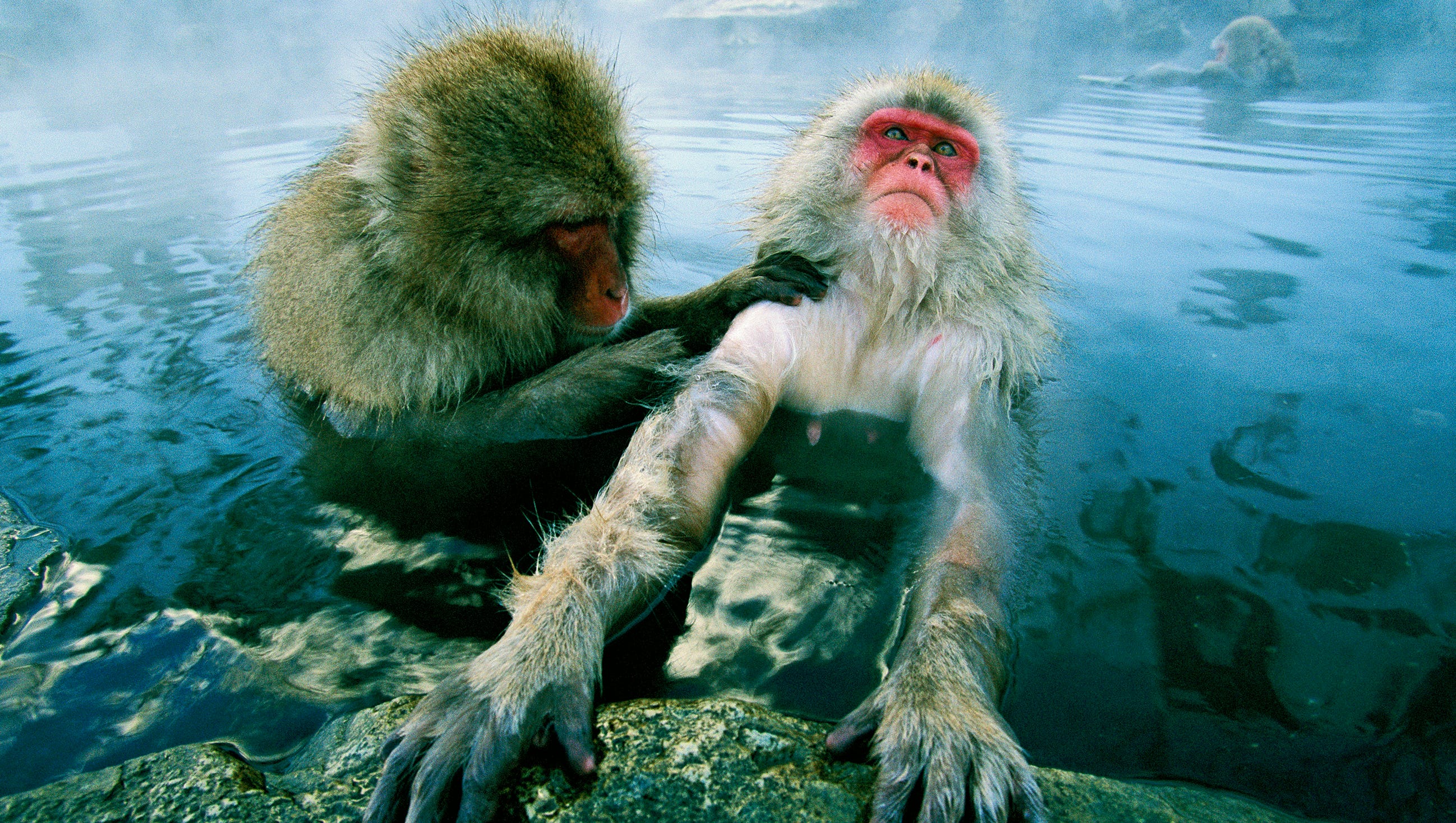 National Geographic Get lost in these travel photos