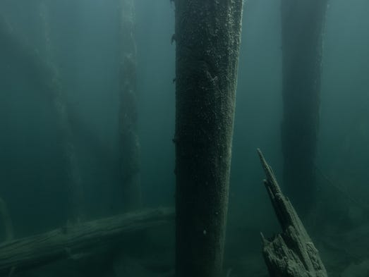 Trees appear to grow from the bottom of an area near