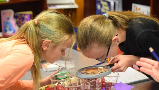 Sisters Gracie and Haley Lewis put their heads together to get a closer look at the samples.