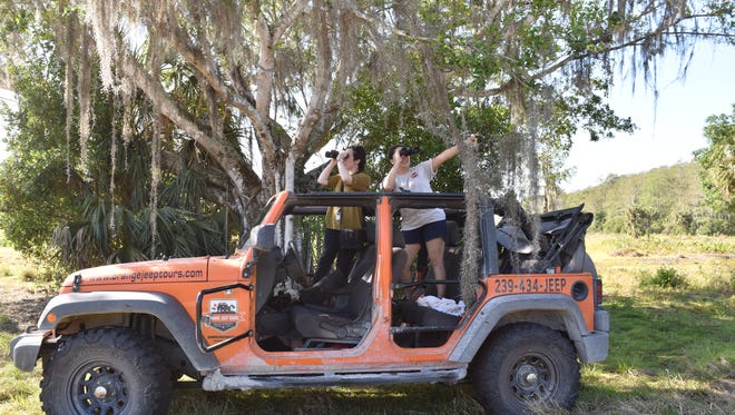 Collier Citizen reporter Ashley Collins, left, and Marisol Morales with Orange Jeep Tours watch birds fly over natural preserve near Ave Maria on March 28, 2017.