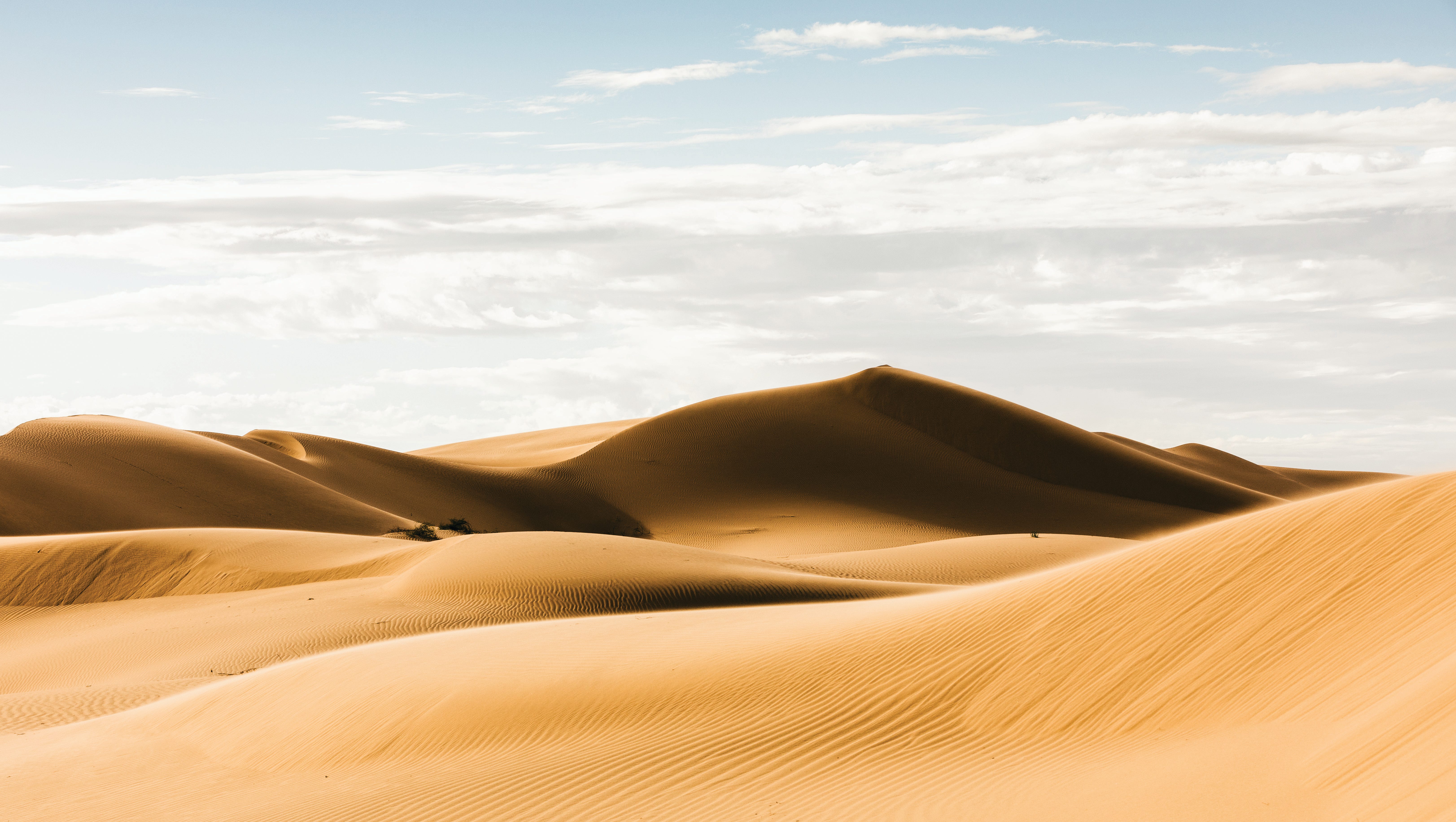 sand dune desert