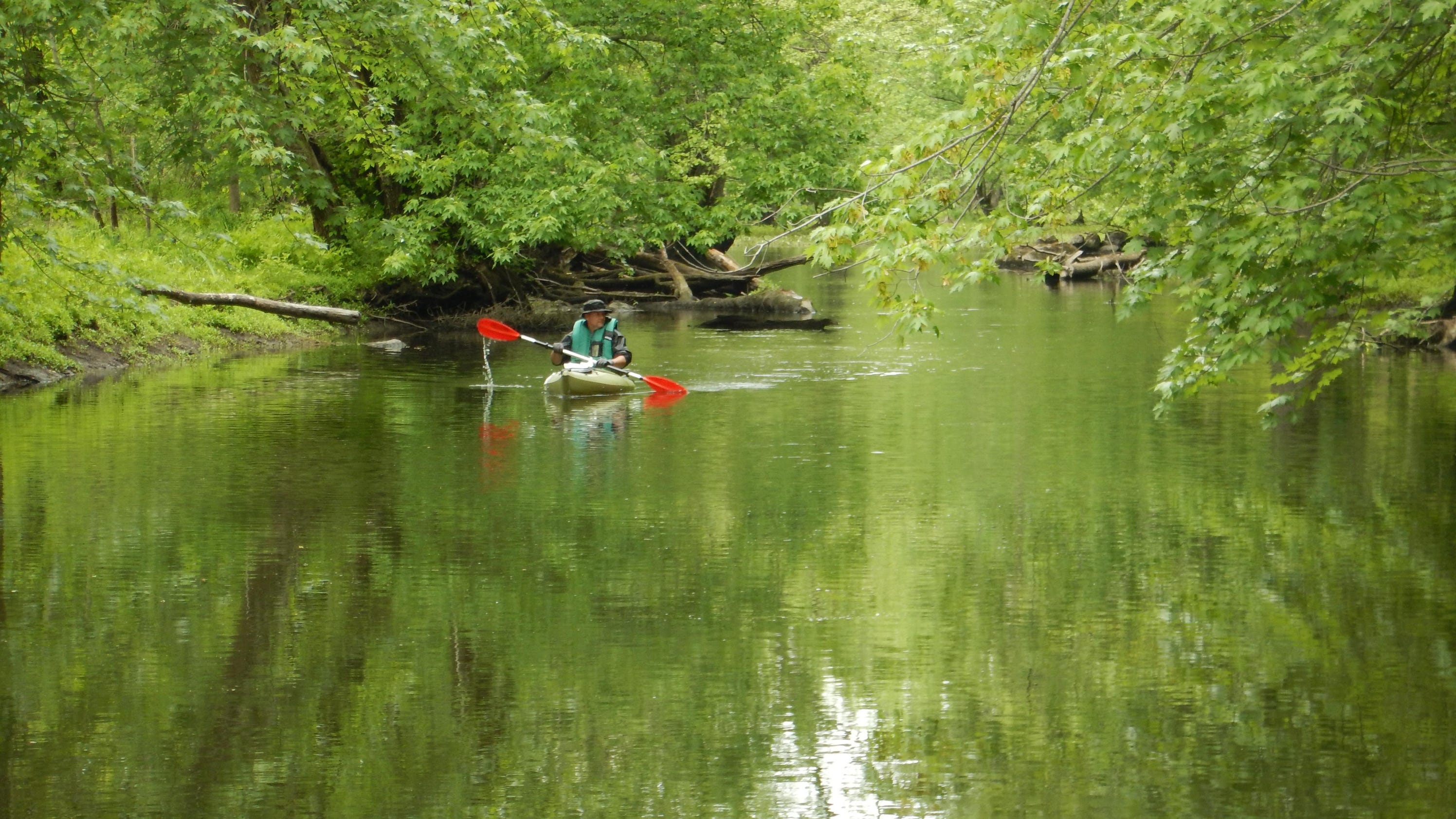 Experience the Great Swamp from a kayak